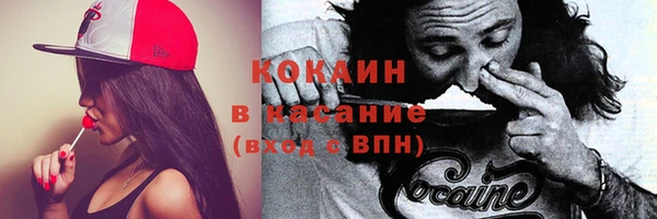 таблы Богданович
