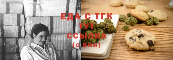 индика Богородицк