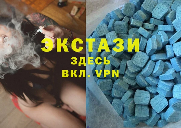 индика Богородицк