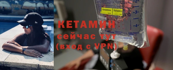 индика Богородицк