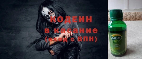 гидра Богородск
