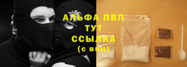 гидра Богородск