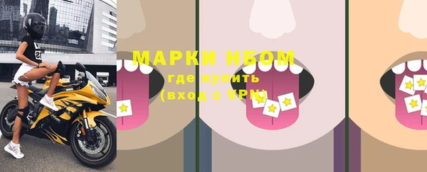 гидра Богородск