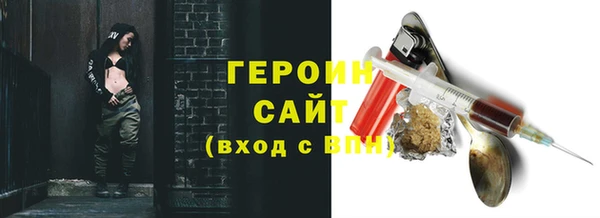 индика Богородицк