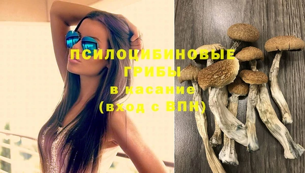 гидра Богородск