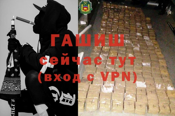 гидра Богородск