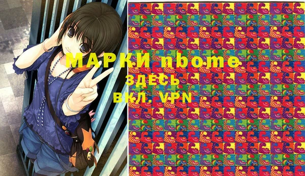 индика Богородицк