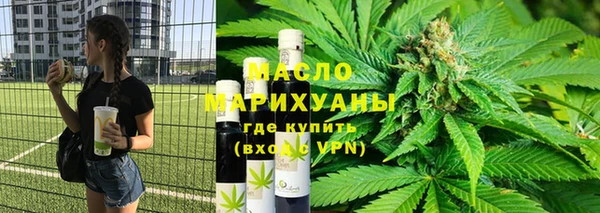 индика Богородицк