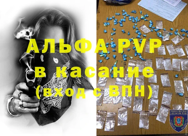 индика Богородицк
