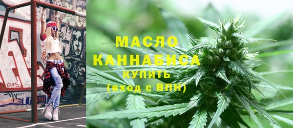индика Богородицк