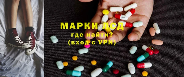 гидра Богородск