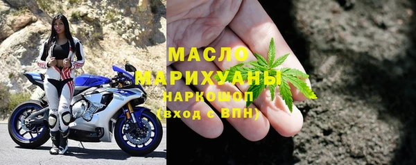 гидра Богородск
