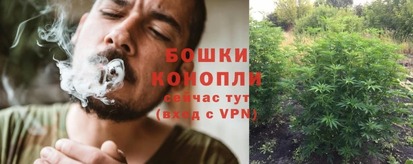 индика Богородицк