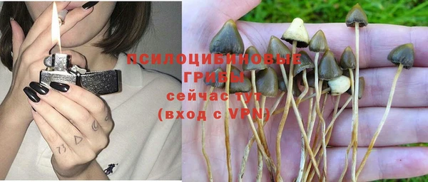 таблы Богданович