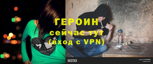 гидра Богородск