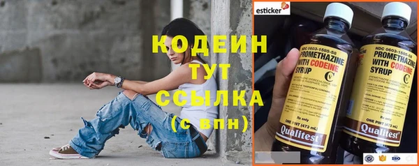 гидра Богородск
