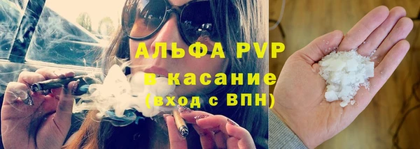 гидра Богородск