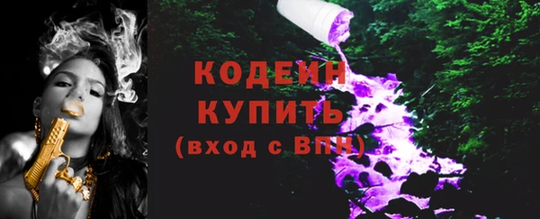 гидра Богородск
