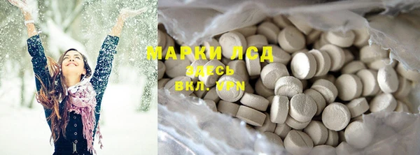 индика Богородицк