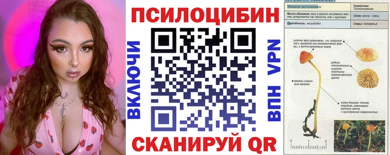 Псилоцибиновые грибы ЛСД  Купить где  Горбатов 