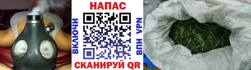 Купить где  Горбатов  Канабис ГИДРОПОН 